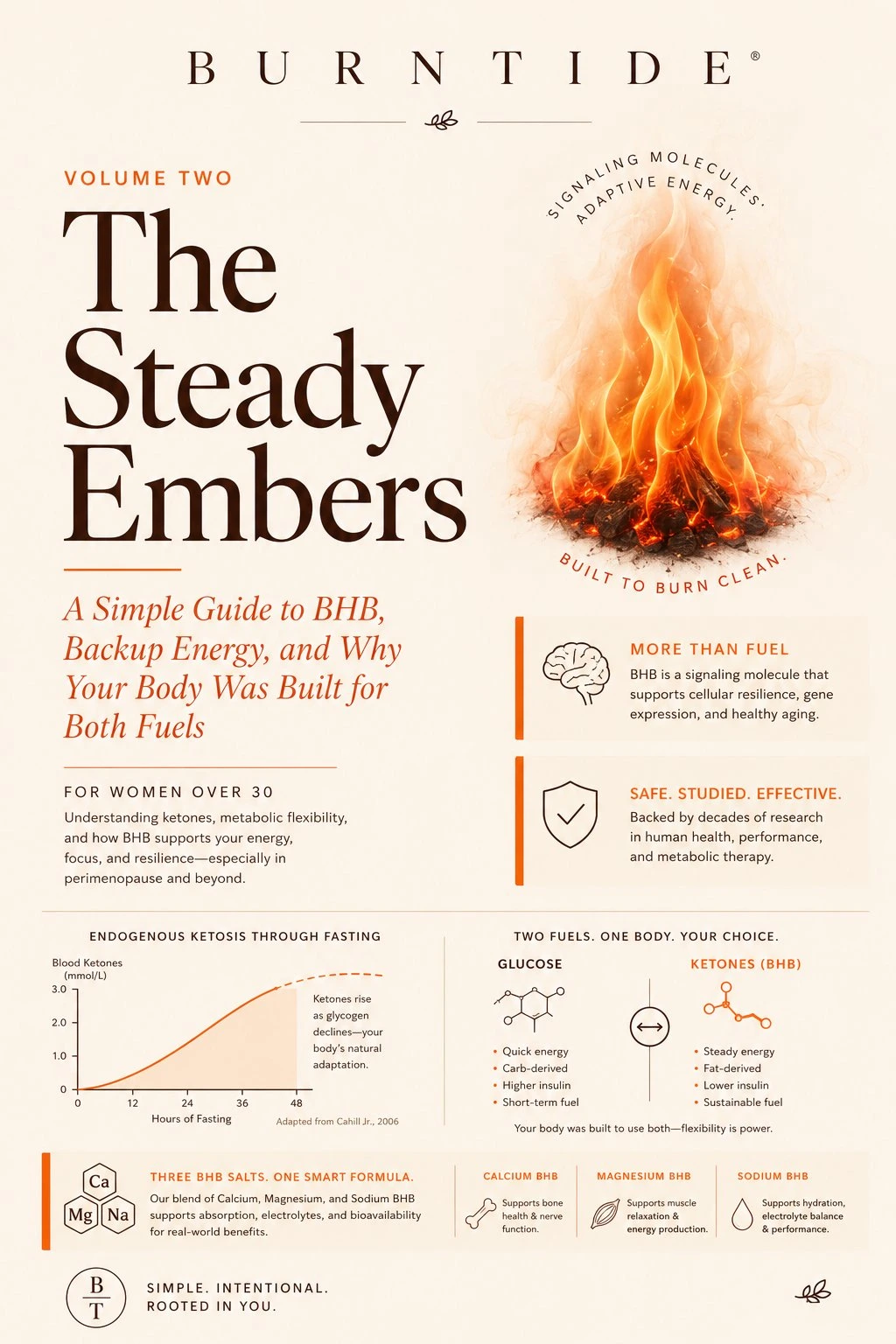 Burntide Bonus 2 - The Steady Embers
